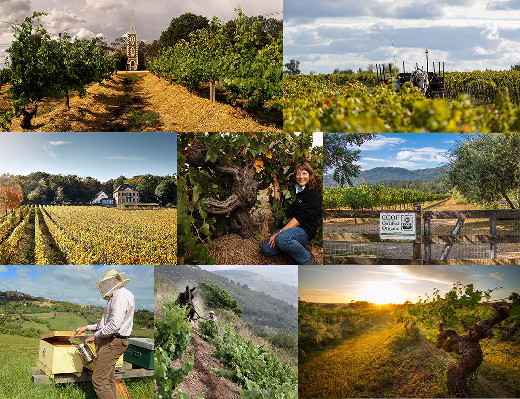 ロバート・パーカー・ワイン・アドボケート、新たにロバート・パーカー